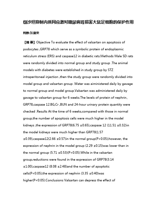 缬沙坦抑制内质网应激对糖尿病肾损害大鼠足细胞的保护作用