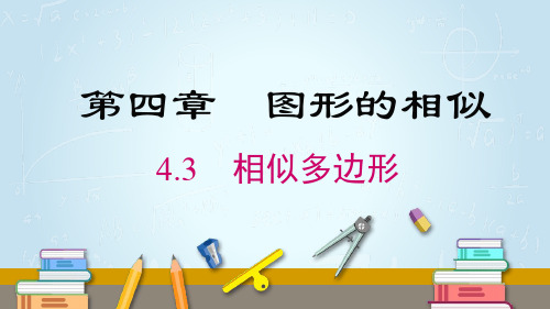 北师大九年级上册 4.3 相似多边形