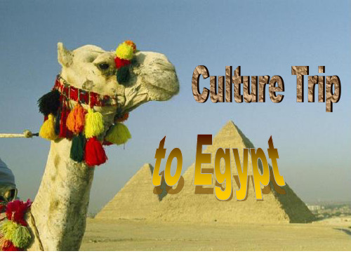 Egypt Culture埃及文化