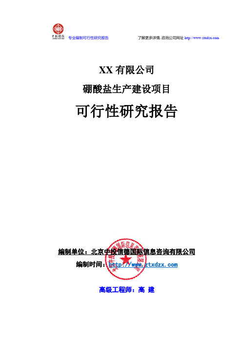 硼酸盐生产建设项目可行性研究报告