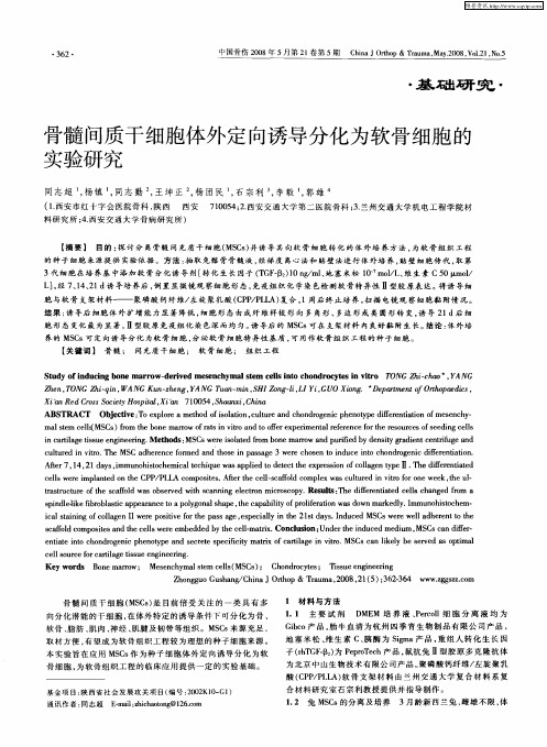 骨髓间质干细胞体外定向诱导分化为软骨细胞的实验研究