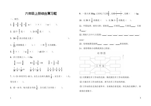 小学六年级数学上册综合复习练习题