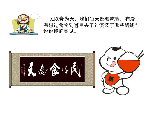 新青岛版科学《食物到哪里去了》教学课件