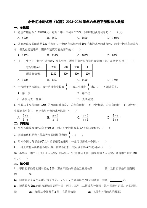 小升初冲刺试卷(试题)2023-2024学年六年级下册数学人教版(含解析)