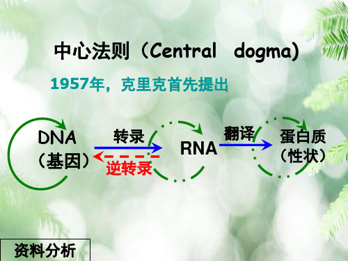 基因对性状的控制PPT教学课件