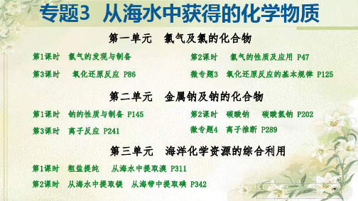 新教材 苏教版高中化学必修第一册 专题3 从海水中获得的化学物质 精品教学课件(共379页)