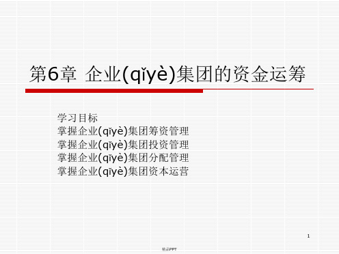 第6章企业集团的资金运筹