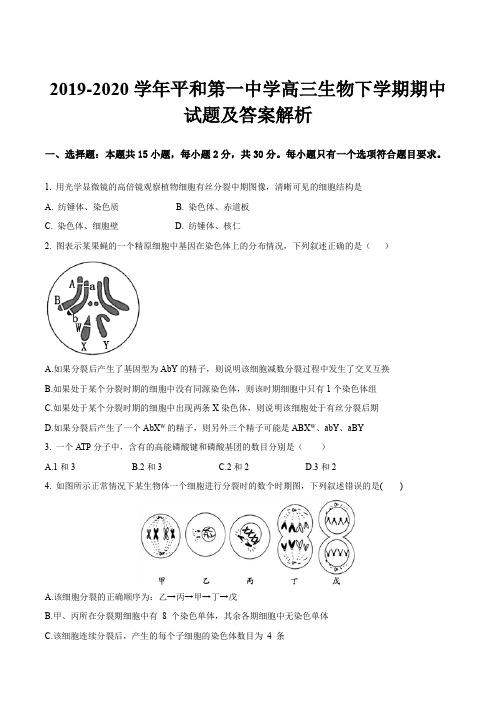 2019-2020学年平和第一中学高三生物下学期期中试题及答案解析