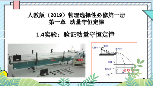 物理人教版(2019)选择性必修第一册1