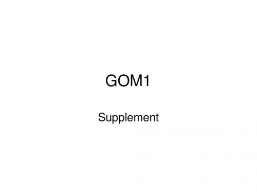 全球运营管理讲座new gom1-supplement