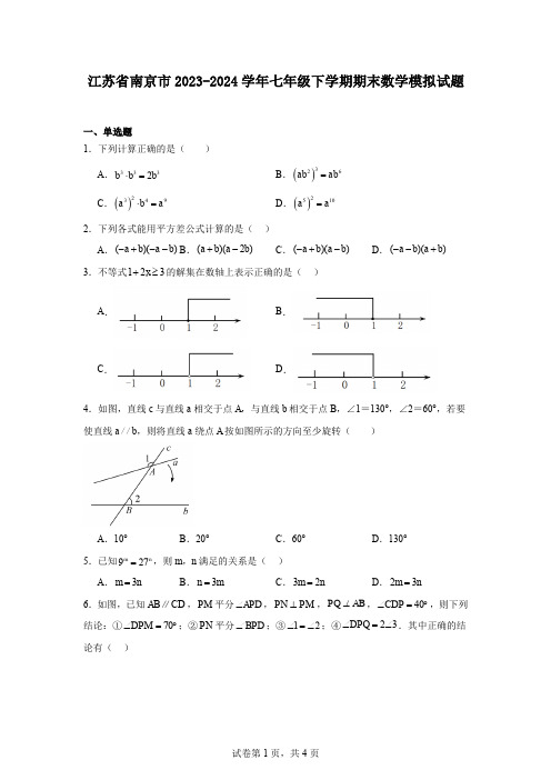 江苏省南京市2023-2024学年七年级下学期期末数学模拟试题