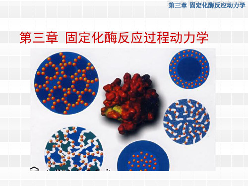 反应工程第三章 固定化酶反应过程动力学.