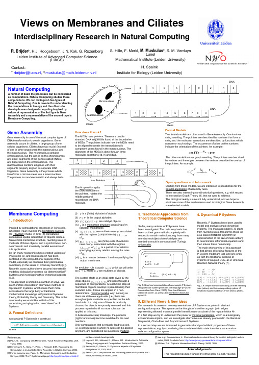 Natural Computing