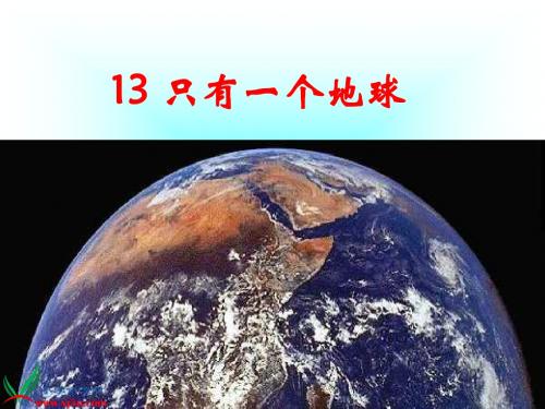 13《只有一个地球》