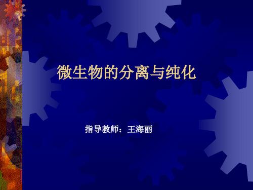 土壤中分离纯化细菌实验