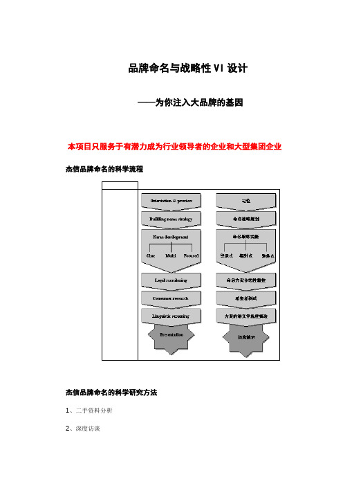 系统性VI