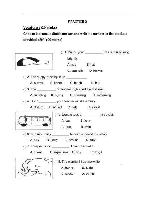 新加坡小学二年级英语试卷PRACTICE 2