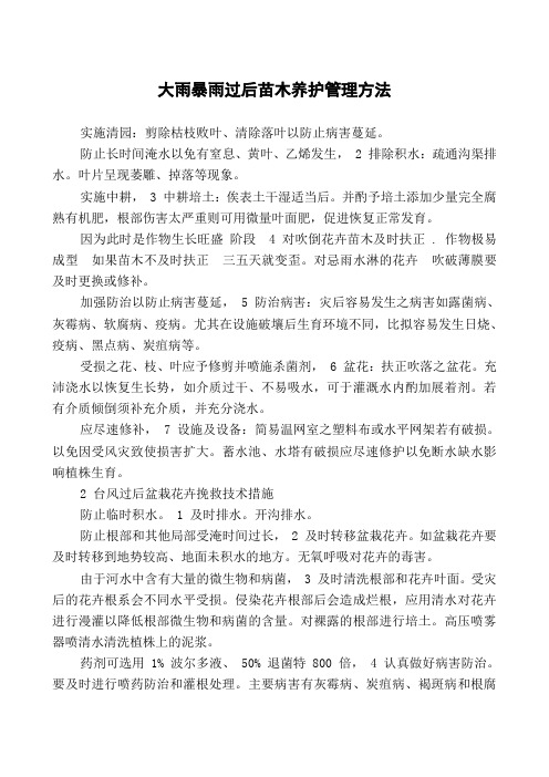 大雨暴雨过后苗木养护管理方法
