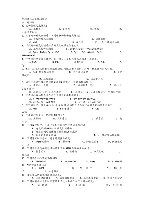 生物化学试题及标准答案(生物氧化与氧化磷酸化部分)