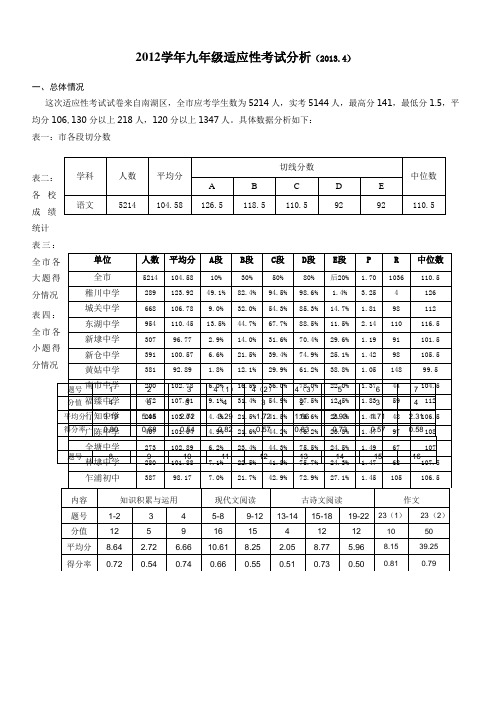 2012学年九年级适应性考试分析(20134)