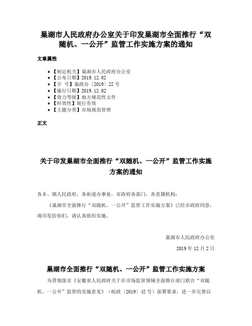 巢湖市人民政府办公室关于印发巢湖市全面推行“双随机、一公开”监管工作实施方案的通知