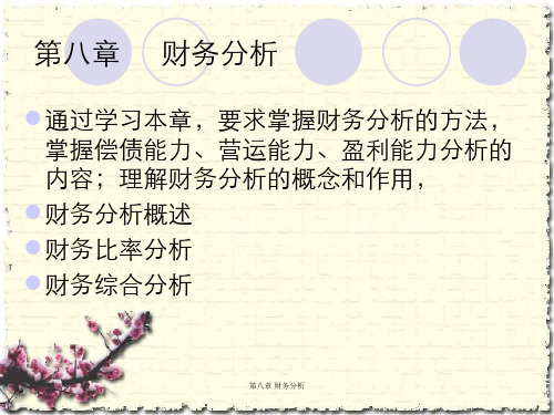 第八章 财务分析