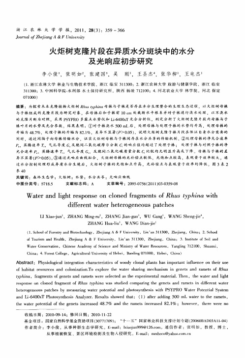 火炬树克隆片段在异质水分斑块中的水分及光响应初步研究