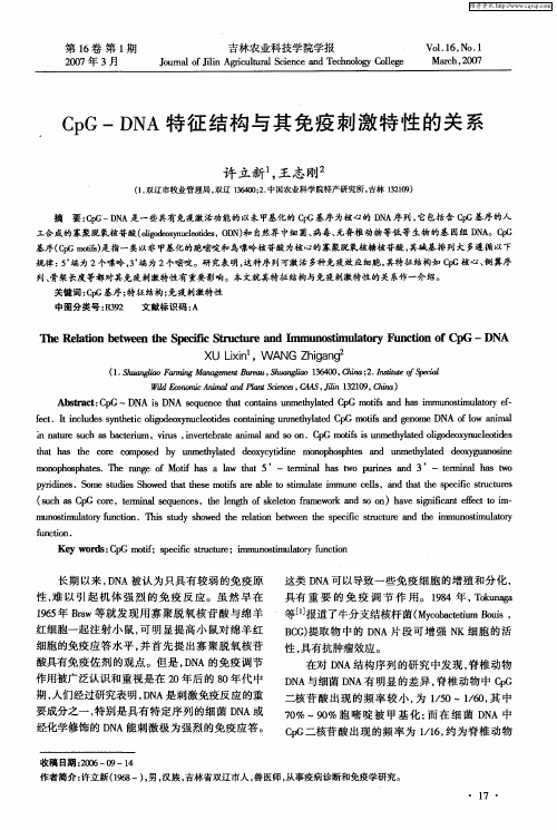 CpG—DNA特征结构与其免疫刺激特性的关系