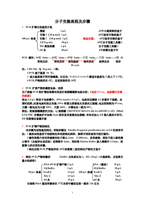 分子克隆步骤