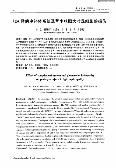 IgA肾病中补体系统及肾小球肥大对足细胞的损伤