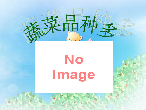 《蔬菜品种多》PPT  图文