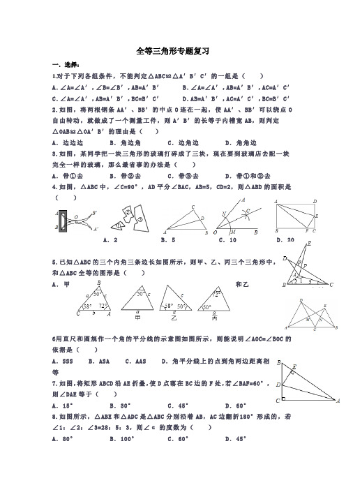 全等专题复习