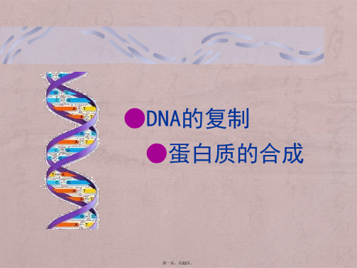 DNA的复制、转录、翻译