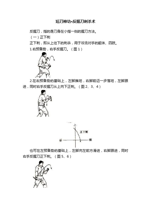 短刀神功·反握刀刺杀术