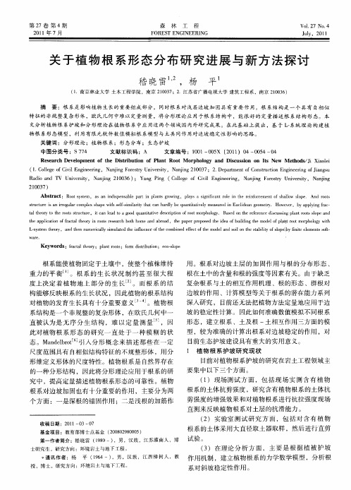 关于植物根系形态分布研究进展与新方法探讨