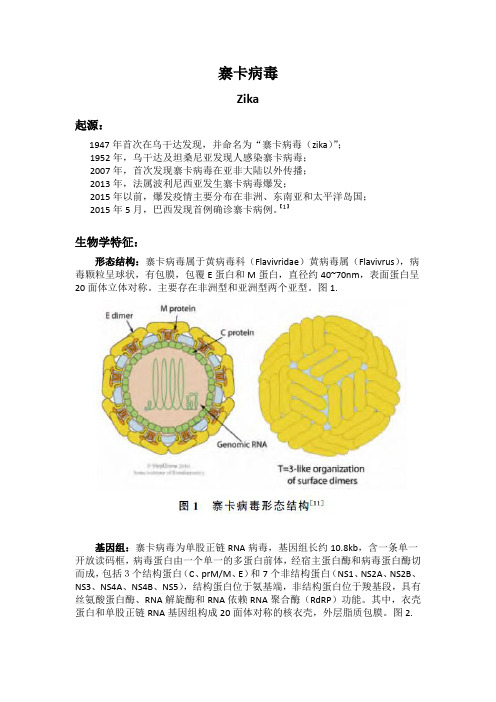 zika的总结