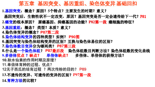 精讲20 基因突变、基因重组和染色体变异-【一轮通关】备战2024年高考生物一轮复习全方位精讲课件