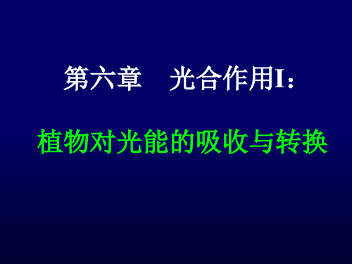 光合作用I：植物对光能的吸收与转换