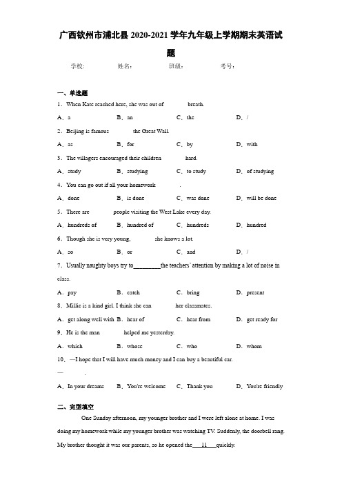 广西钦州市浦北县2020-2021学年九年级上学期期末英语试题