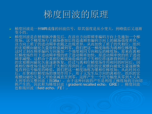 GRE梯度回波序列的原理与临床共25页PPT资料