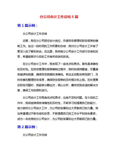 分公司会计工作总结5篇