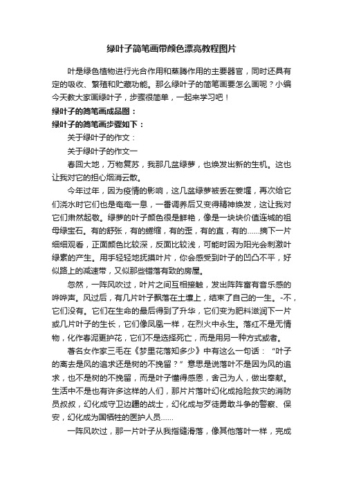 绿叶子简笔画带颜色漂亮教程图片