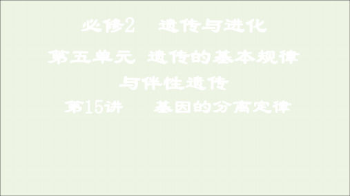 第15讲基因的分离定律课件