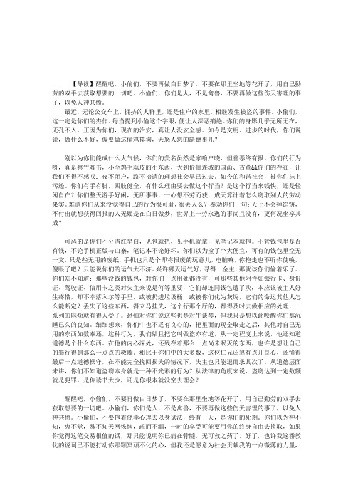 写给小偷们的话