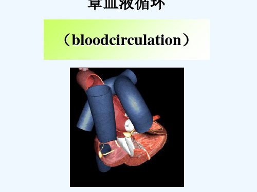 生理学血液循环(心脏泵血功能)