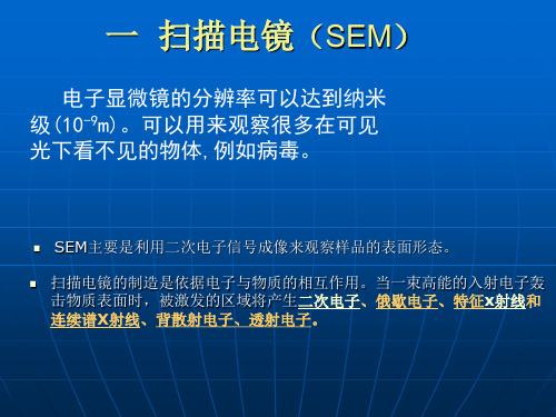 同济大学现代仪器分析课件：扫描电子显微镜SEM