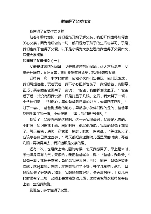 我懂得了父爱作文3篇