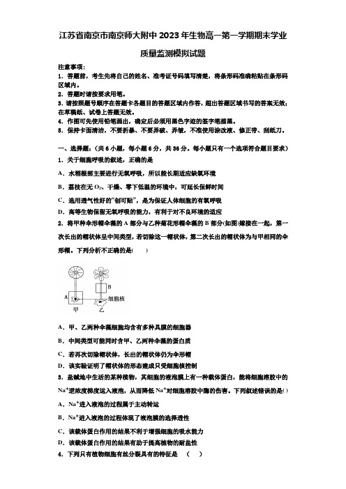 江苏省南京市南京师大附中2023年生物高一第一学期期末学业质量监测模拟试题含解析