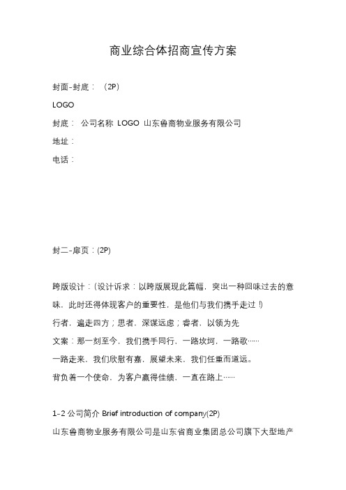 商业综合体招商宣传方案
