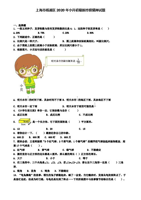 上海市杨浦区2020年小升初最新终极猜押试题
